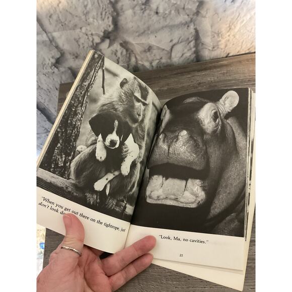 1981 Animal Antics by Watermill Press Softcover - Picture 3 of 7
